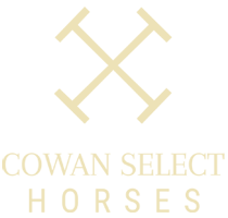 Cowan Select Horses